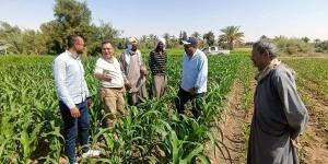 حملة قومية لمتابعة الذرة الشامية بالوادي الجديد ورصد الحالة الإنتاجية للحقول - النيل نيوز