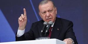 أردوغان: اتفاقية مكة توجب على الأعضاء اتخاذ خطوات موحدة حال تعرض أحدهم للاعتداء - النيل نيوز