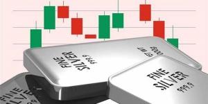 مؤشر الفضة بالتداولات العالمية اليوم الأحد 16 أغسطس (آخر تحديث) - النيل نيوز