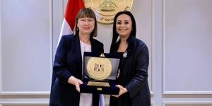 وزيرة التضامن تلتقي المنسق المقيم للأمم المتحدة في مصر - النيل نيوز