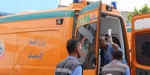 إصابة عامل إثر سقوط حائط عليه في قرية الأوسط سمهود بقنا - النيل نيوز