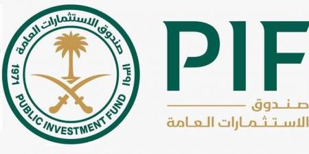 ملكية صندوق الاستثمارات العامة في السوق الأمريكي تقفز 215% بفضل "سبيس إكس" - النيل نيوز