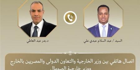 وزير الخارجية ونظيره الصومالي يبحثان تعزيز الشراكة الاستراتيجية وتطورات الأوضاع بالصومال - النيل نيوز