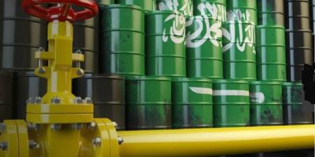 ارتفاع صادرات السعودية من النفط الخام 559 ألف برميل يومياً خلال يونيو - النيل نيوز