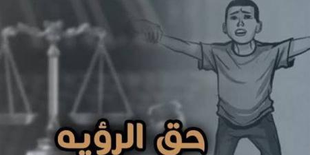 أزمة تعطيل تنفيذ أحكام الرؤية تحت قبة البرلمان، لماذا تطالب الأحزاب بكتاب دوري وتنظيم للاستضافة؟ - النيل نيوز