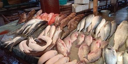 أسعار السمك اليوم، انخفاض الجمبري وارتفاع البلطي والكابوريا والبوري - النيل نيوز
