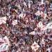 الزمالك يعلن قائمته وأرقام اللاعبين في الموسم الجديد وسر غياب رقم 1 - النيل نيوز