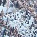 من أفريقيا إلى أسيوط، دير درنكة يتحول لقبلة الحجاج الأفارقة في ختام احتفالاته (فيديو) - النيل نيوز
