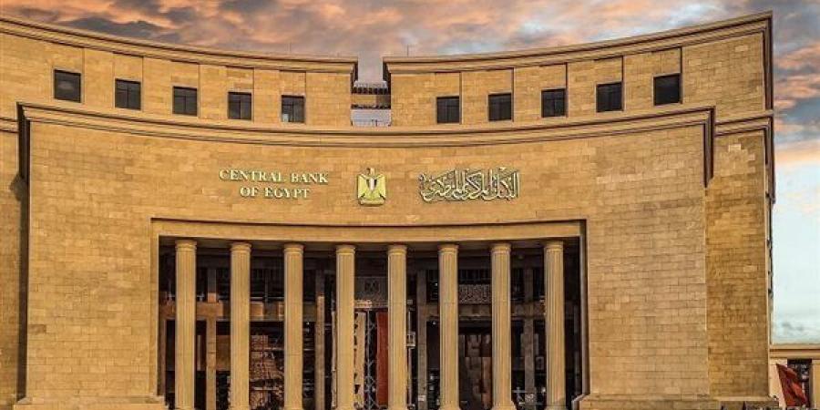 البنك المركزي يطلق البوابة الإلكترونية للجنة الاستقرار المالي الإفريقية