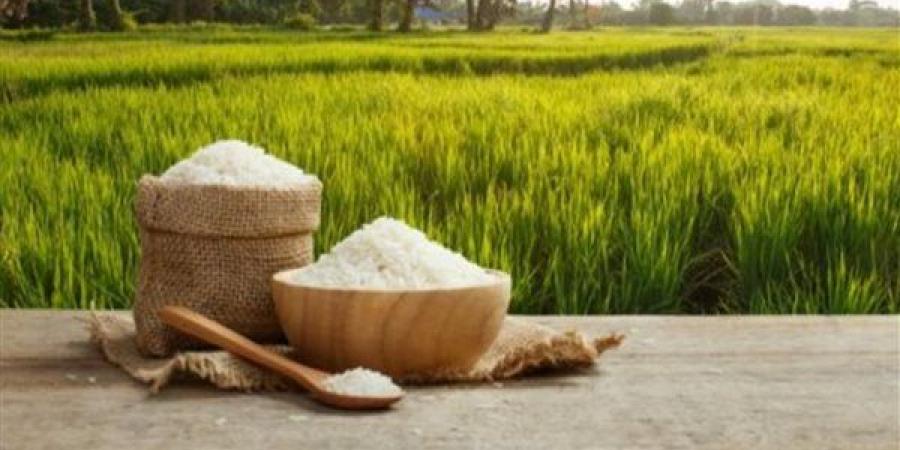 آخر تطورات سعر الأرز في السوق اليوم الأربعاء 5-8-2026