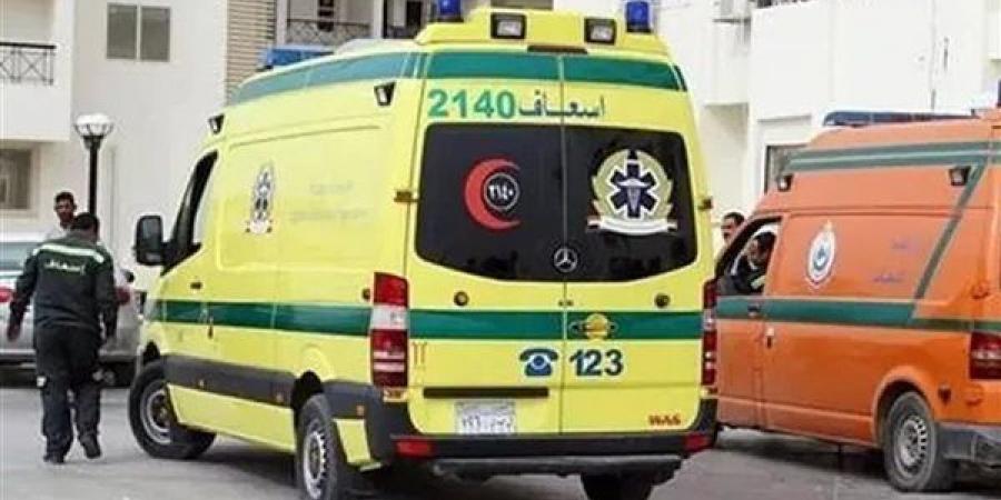 مصرع شخص صدمته سيارة مجهولة أمام قرية شها بالمنصورة