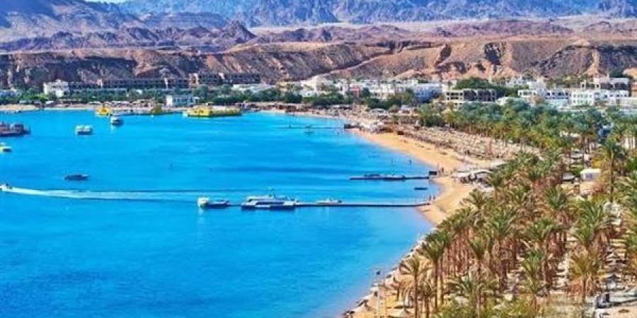 وائل زعير: 9 ملايين سائح زاروا مصر فى النصف الأول من الحالي (فيديو)