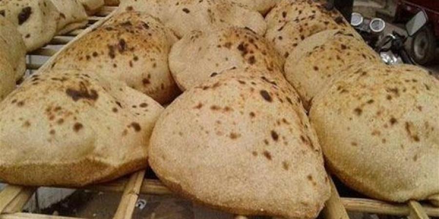 عبد الجواد: استقرار صرف الدقيق للمخابز على مستوى الجمهورية بعد تطبيق الخصم المباشر - النيل نيوز