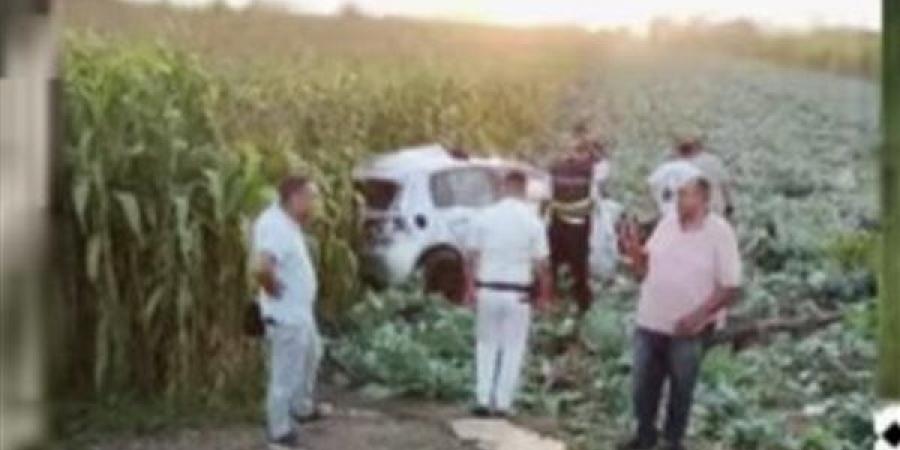 مصرع شاب وإصابة آخرين في حادث تصادم بمدخل أجا بالدقهلية - النيل نيوز