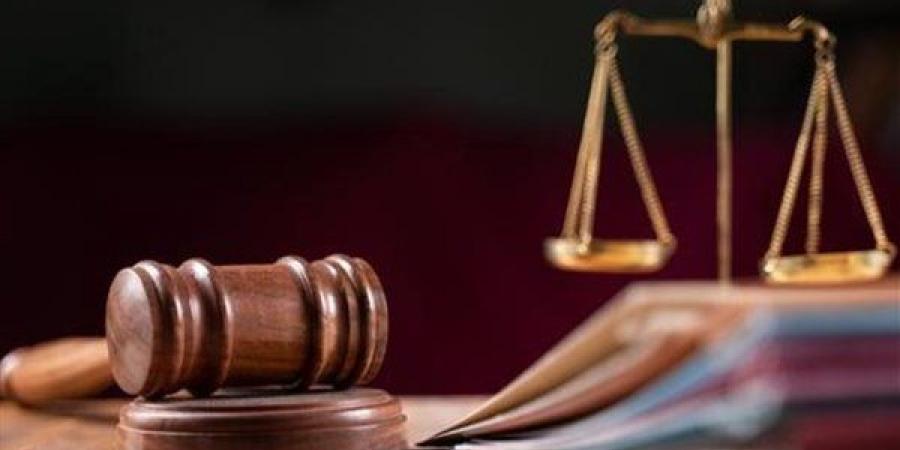 قرار قضائي جديد بشأن مقتل عاطل على يد آخر في المرج - النيل نيوز