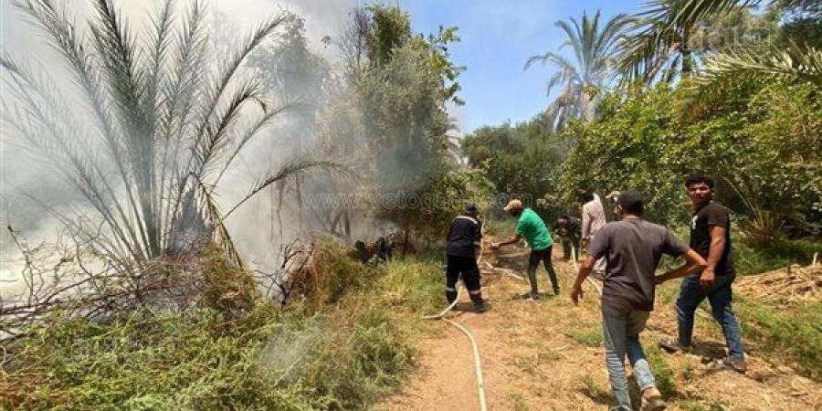 حريق داخل منطقة زراعية في الفرافرة بالوادي الجديد - النيل نيوز