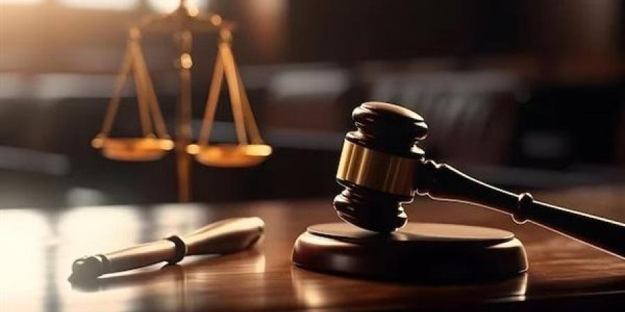 نظر تجديد حبس البلوجر دهب أشرف و3 متهمين في واقعة التعدي على طفلين بالمقطم - النيل نيوز