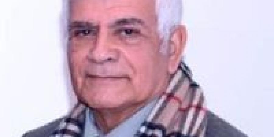 القطط السمان الجديدة! - النيل نيوز