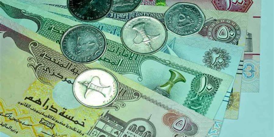 ارتفاع سعر الدرهم الإماراتي مقابل الجنيه في البنوك المصرية - النيل نيوز