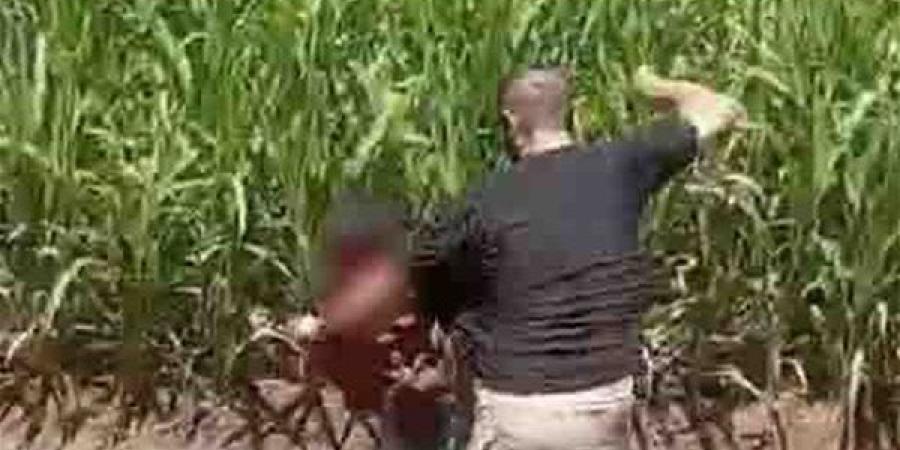 ذهب إلي والدته دون علمه، كواليس واقعة اعتداء عامل على نجله في البدرشين - النيل نيوز