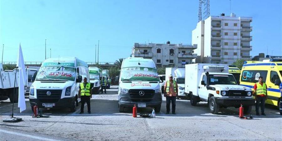مواصلة فعاليات التدريب العملي المشترك لمجابهة الأزمات والكوارث «صقر 171» بمحافظة البحيرة - النيل نيوز