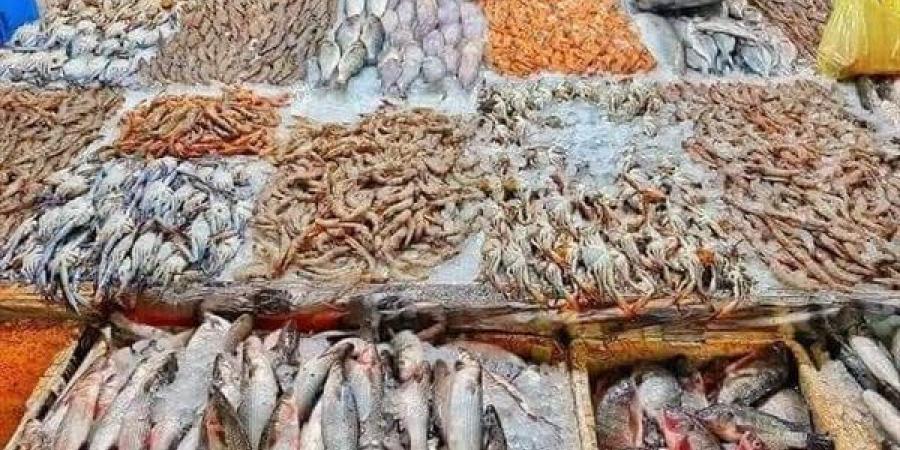 أسعار السمك اليوم ترفع شعار "بلاها بروتين"، ارتفاع المكرونة 50 جنيها والبلطي 4 والجمبري قرب الألف - النيل نيوز