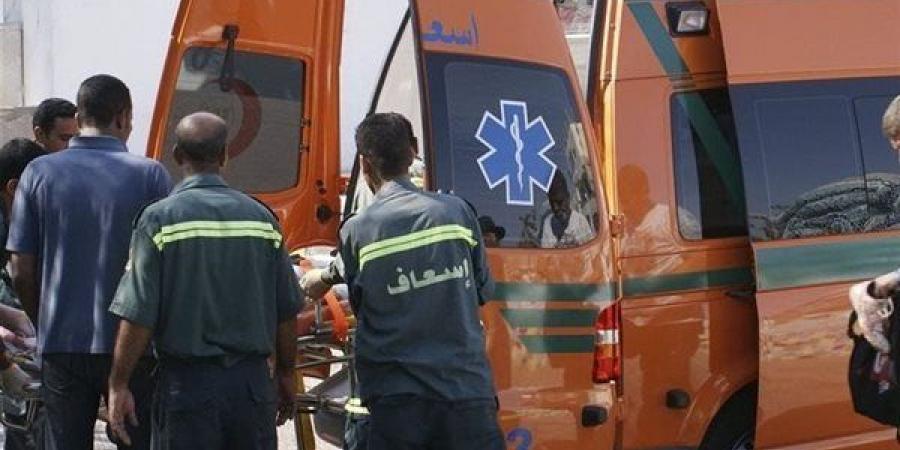 بسبب خلافات المصاهرة، مشاجرة و3 مصابين في ميت غمر بالدقهلية - النيل نيوز