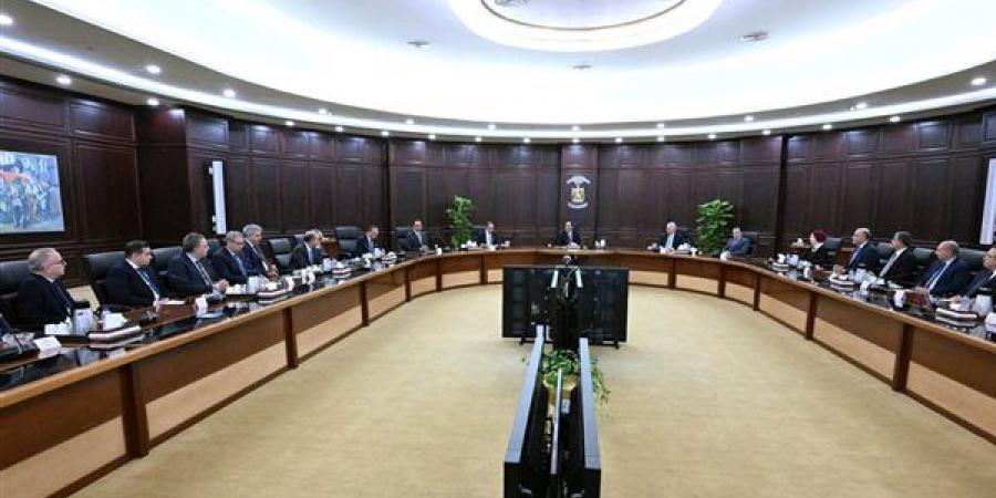 من الاستثمار إلى تصدير العمالة.. مدبولي يحدد أولويات البعثات المصرية بالخارج - النيل نيوز