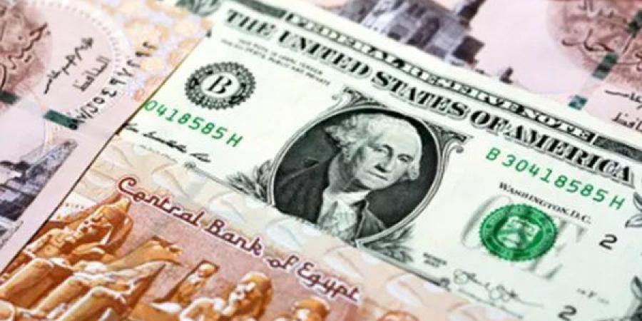 سعر الدولار أمام الجنيه اليوم الأربعاء 19-8-2026 في بداية التعاملات - النيل نيوز
