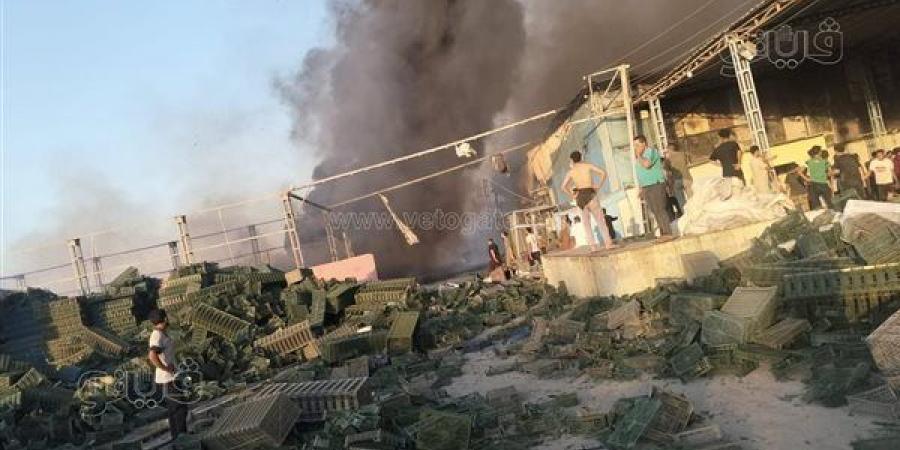 14مصابًا في حريق مصنع موالح بمنيا القمح، ومحافظ الشرقية يوجه بفحص التوصيلات الكهربائية (صور) - النيل نيوز