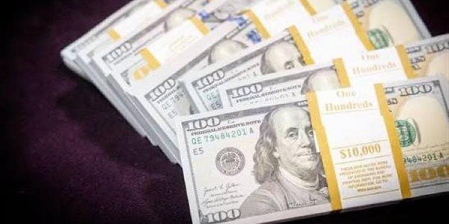 سعر الدولار يرتفع 12 قرشا أمام الجنيه بمنتصف تعاملات اليوم الخميس 20-8-2026 - النيل نيوز