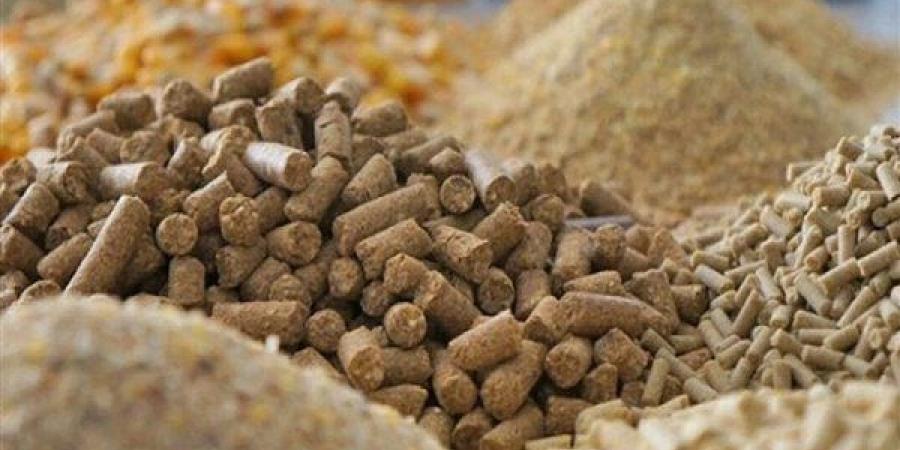 طن الصويا يرتفع 1100 جنيه، أسعار الأعلاف والحبوب اليوم في الأسواق - النيل نيوز