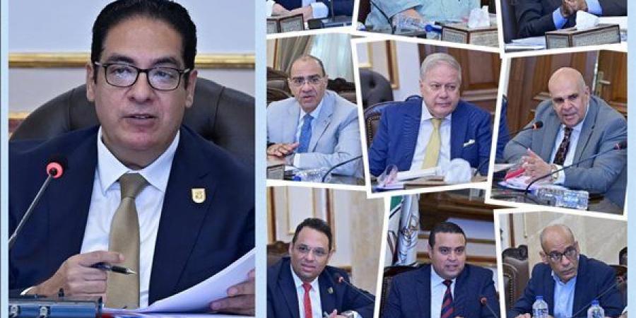 مجلس إدارة صندوق الرعاية الطبية والاجتماعية بجامعة القاهرة يناقش تطوير الخدمات وتعزيز مظلة الرعاية لمنسوبي الجامعة - النيل نيوز