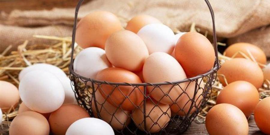 سعر كرتونة البيض اليوم الجمعة في بورصة الدواجن - النيل نيوز